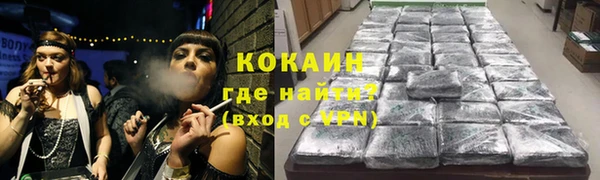 прущие крисы Бородино