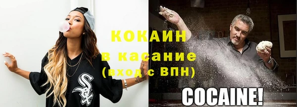 прущие крисы Бородино
