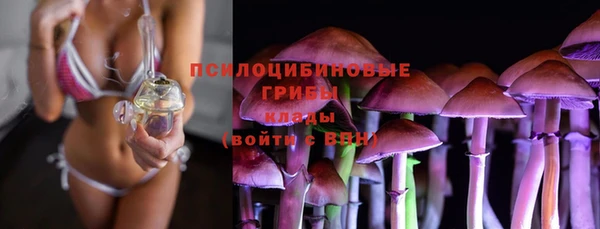 прущие крисы Бородино
