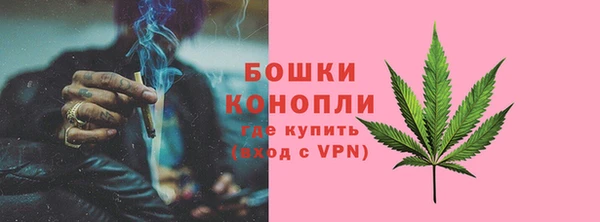 прущие крисы Бородино