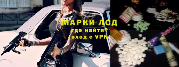 прущие крисы Бородино