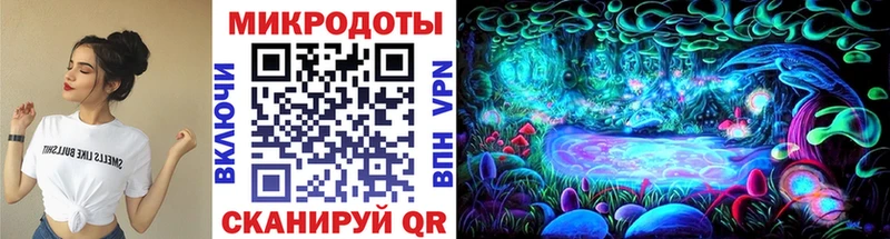 Псилоцибиновые грибы Cubensis  Севастополь 